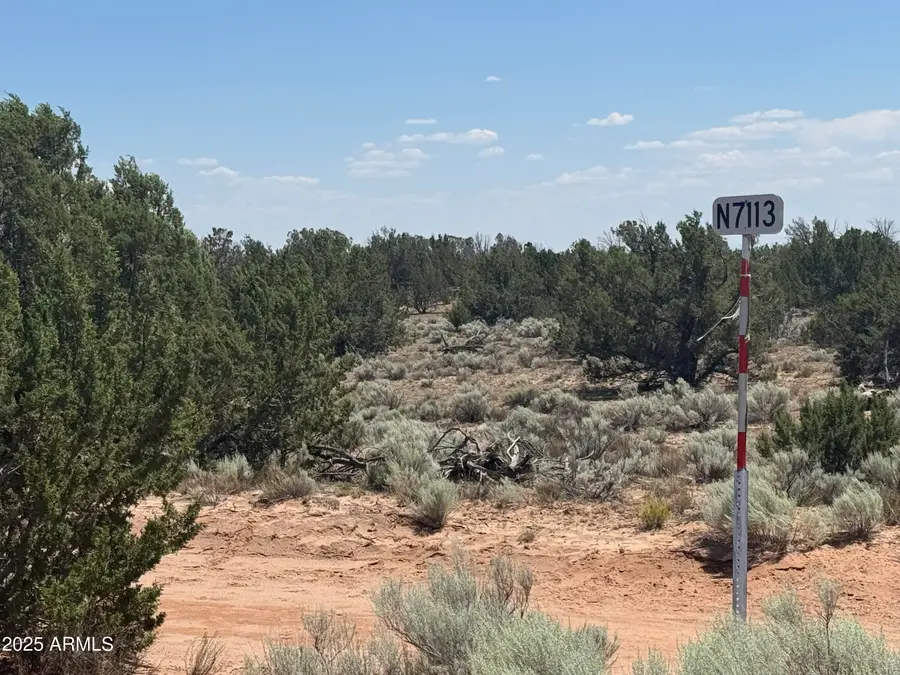 Lot 178 Red Sky Ranch -- #178, Puerco, AZ 85936 - Image #2