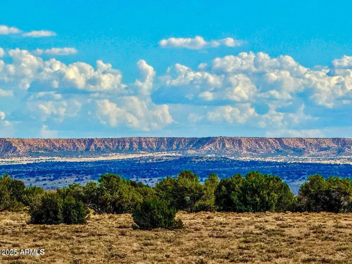 TBD Sanders 127.5 Acres Lot B --, Puerco, AZ 86512 - Image #1