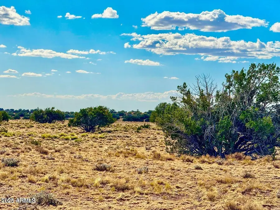 TBD Sanders 127.5 Acres Lot B --, Puerco, AZ 86512 - Image #2