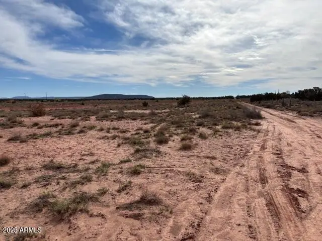 9049 Old School Bus Trail, Snowflake, AZ 85937 - Image #1