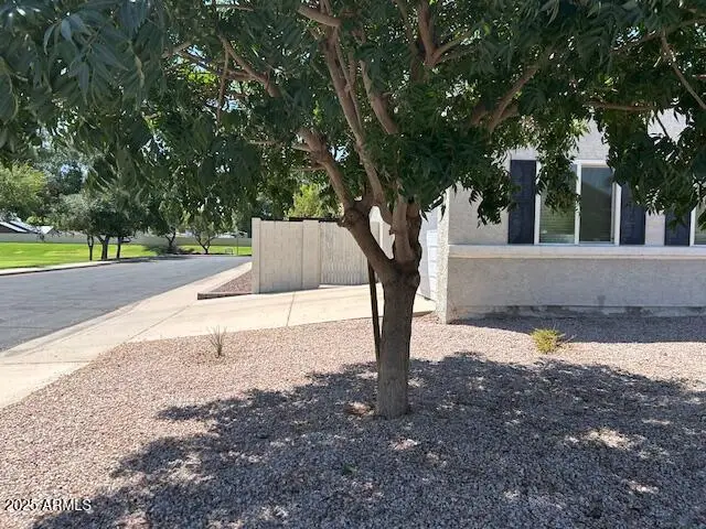 521 E Encinas Avenue, Gilbert, AZ 85234 - Image #3