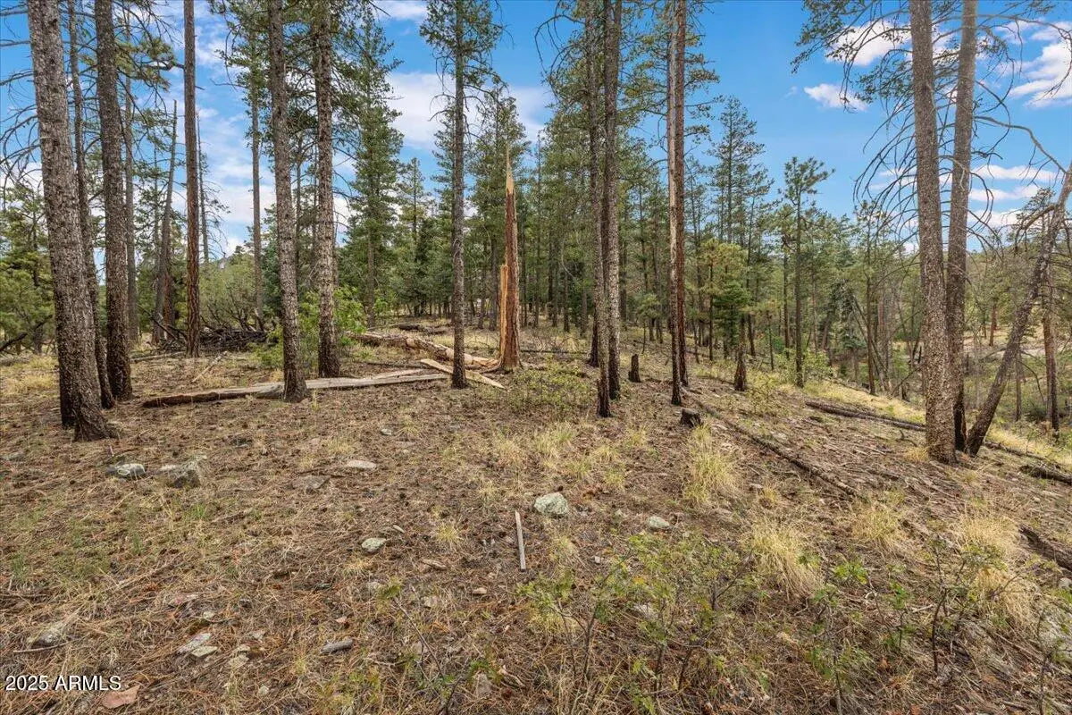 14 County Rd 2074 -- #29, Eagar Springerville, AZ 85920 - Image #1