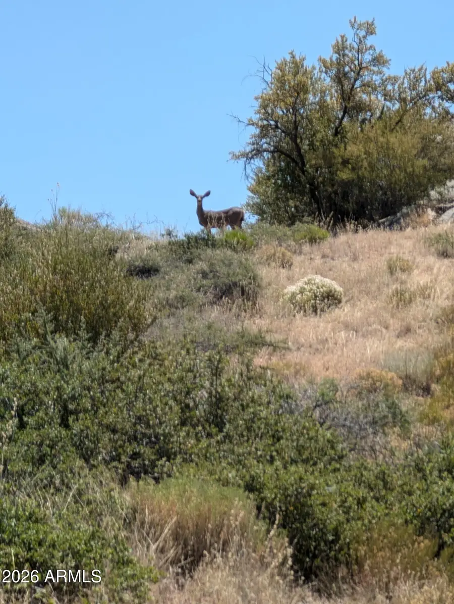 xxxx N White Spar (89) 1b Highway #1B, Yarnell, AZ 85362 - Image #3