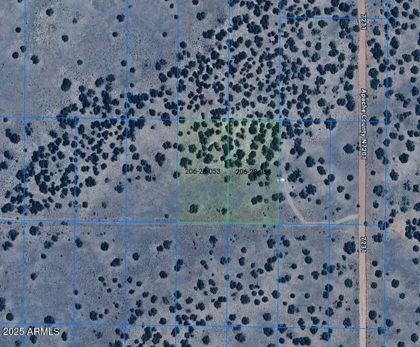 TBD Lot 53 & 54 -- #53, Puerco, AZ 85634 - Image #1