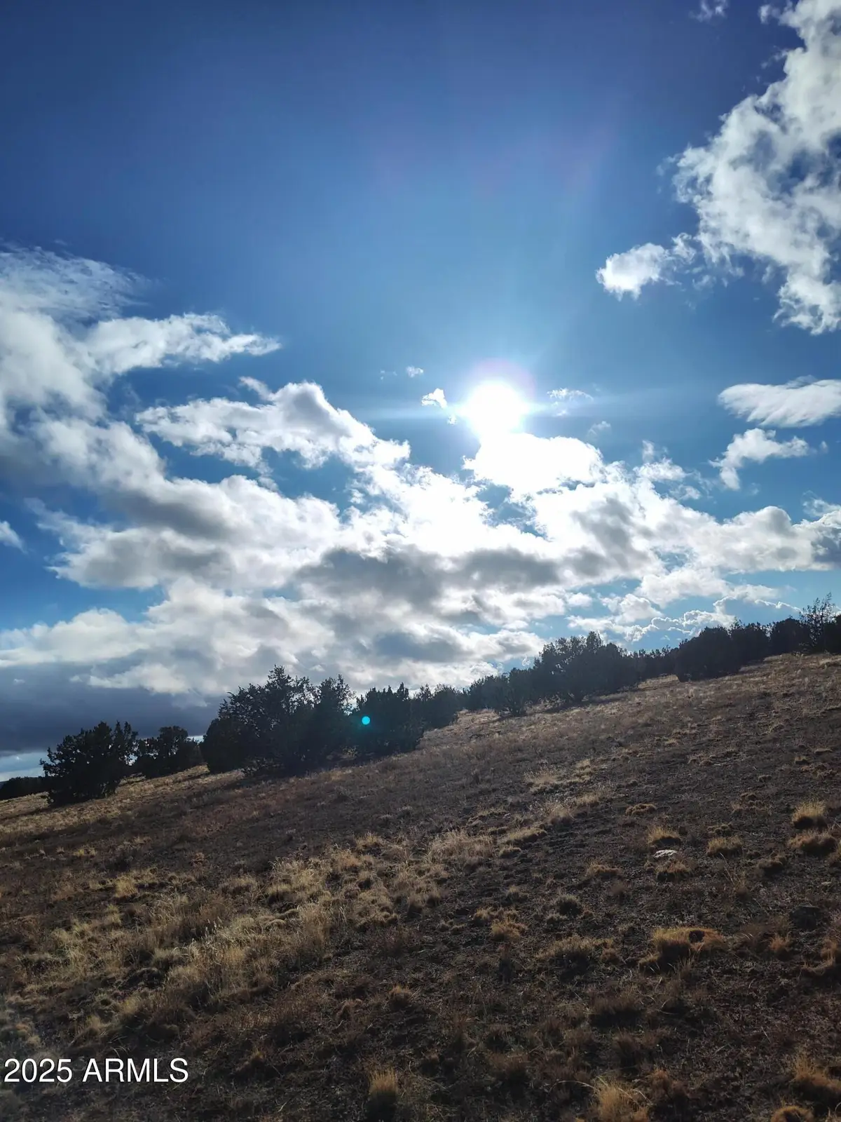 xxx N Xxx --, Seligman, AZ 86337 - Image #1