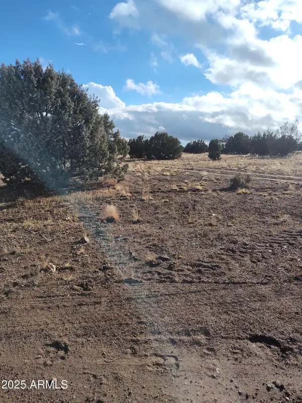 00000 N Deliverace -- #453, Seligman, AZ 86337