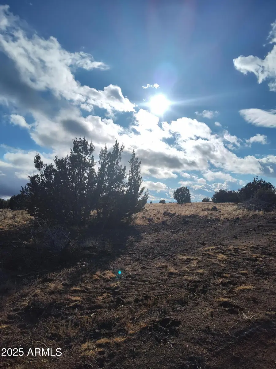 00000 N Deliverace -- #453, Seligman, AZ 86337 - #2