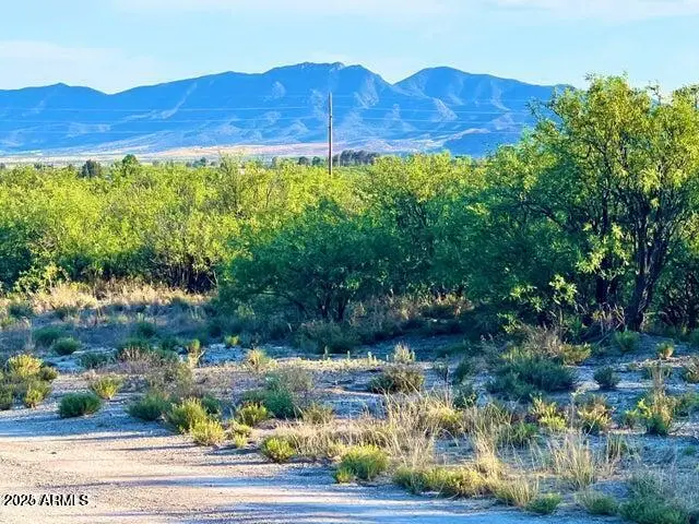 TBD Quail St Lot B- 5 Acres --, Cochise, AZ 85606 - Image #2