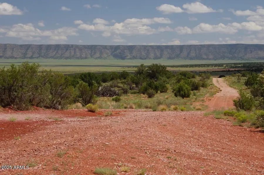58800 N Vidrio Road #5353, Seligman, AZ 86337 - Image #3