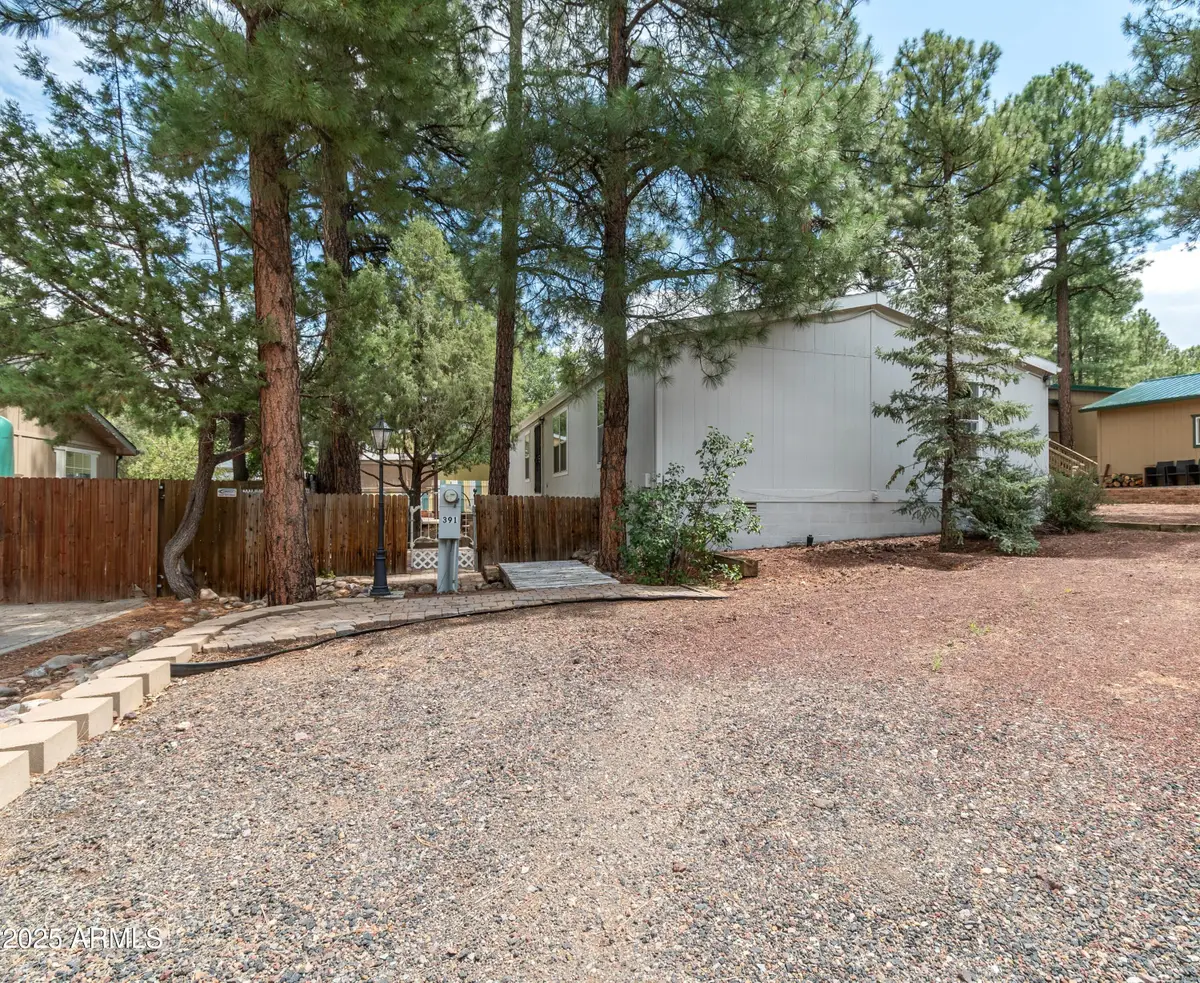 391 Timber Ridge Loop, Show Low, AZ 85901 - Image #1