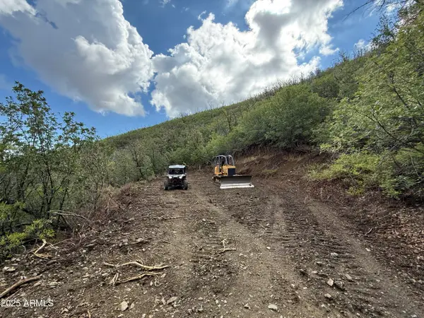 00 E Lincoln Ridge Road, Crown King, AZ 86343