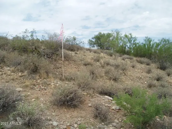 290XX W Dove Valley Road, Unincorporated County, AZ 85361