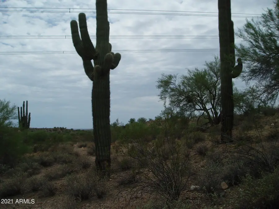 290XX W Dove Valley Road, Unincorporated County, AZ 85361 - Image #3