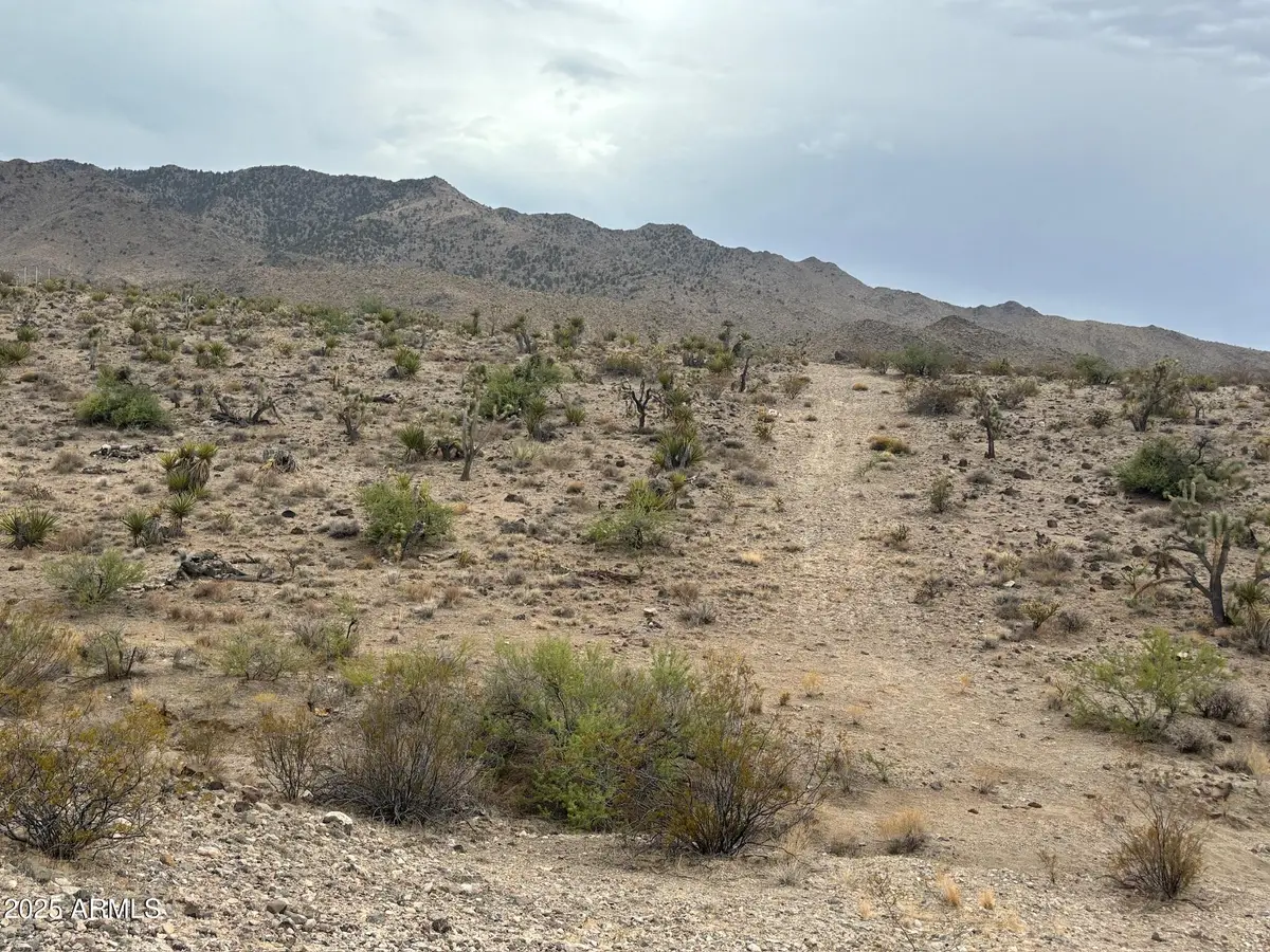 000 N Mohave Drive #48, Dolan Springs, AZ 86441 - Image #1