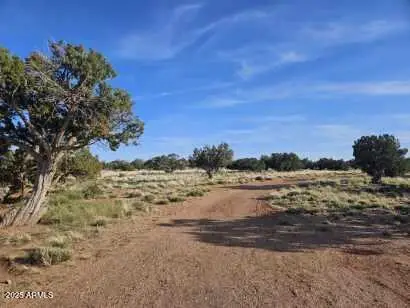 110 N County Road N5578 --, Concho, AZ 85924