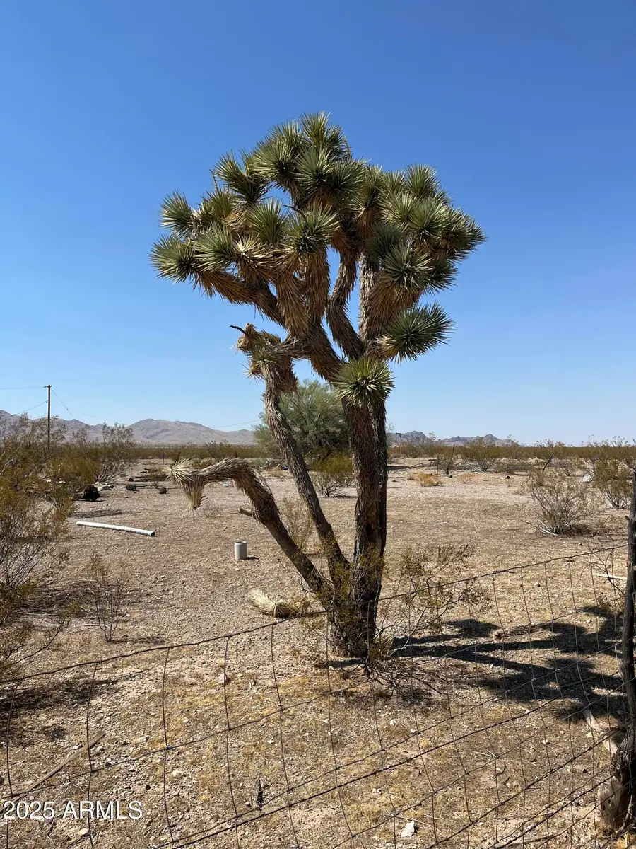 xxxxxx N Jerry Lane #369, Dolan Springs, AZ 86441 - Image #2