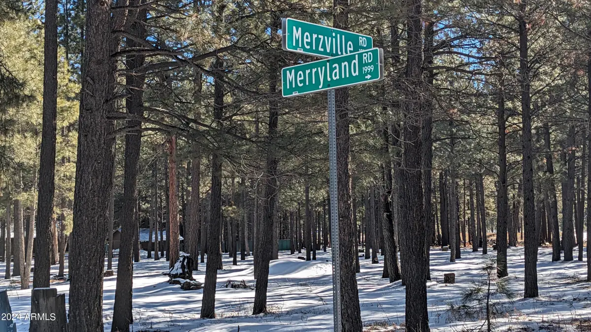 1960 Merryland Road #233, Forest Lakes, AZ 85931 - Image #1