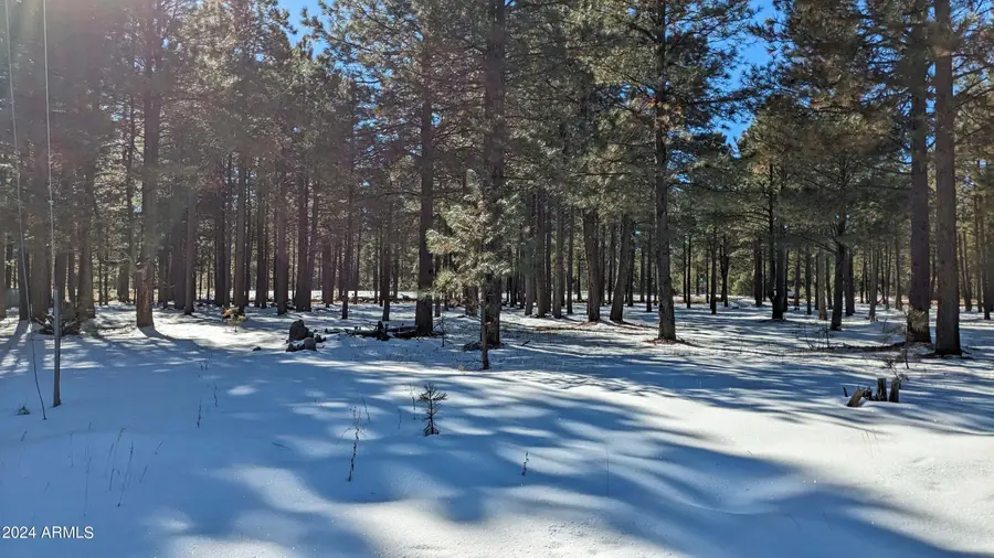 1960 Merryland Road #233, Forest Lakes, AZ 85931 - Image #2