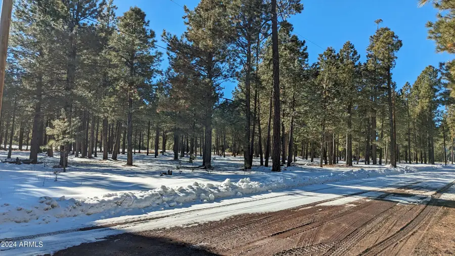 1960 Merryland Road #233, Forest Lakes, AZ 85931 - Image #3