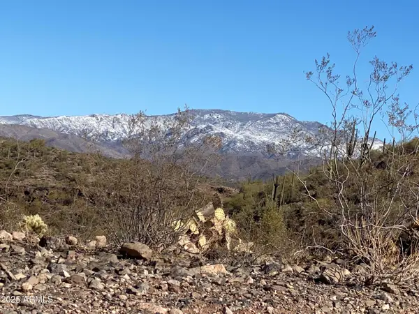 00XXX W Lake Pleasant/rebel Pass Road #A, Morristown, AZ 85342