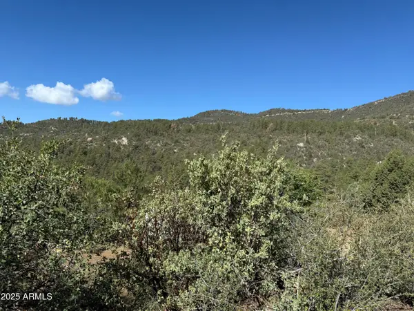 22865 S Gladiator Mine Road, Crown King, AZ 86343