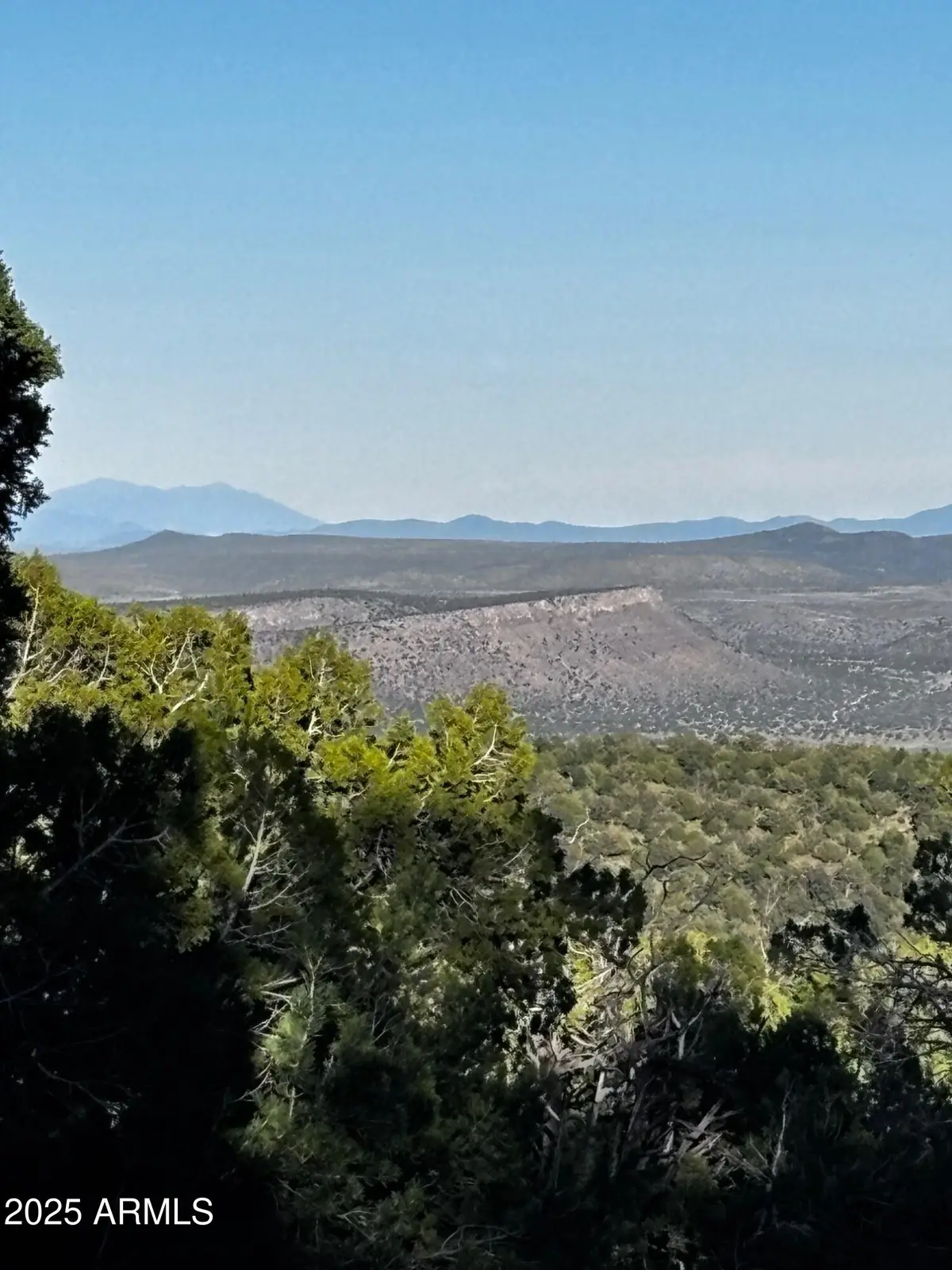 0 Soaring Hawk -- #498, Seligman, AZ 86337 - Image #1