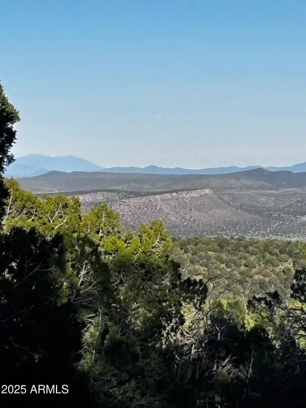 0 Soaring Hawk -- #498, Seligman, AZ 86337