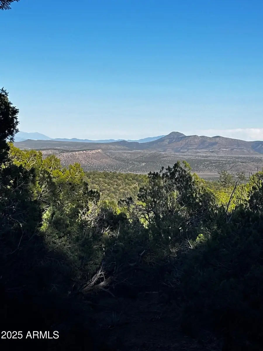 0 Soaring Hawk -- #498, Seligman, AZ 86337 - Image #2