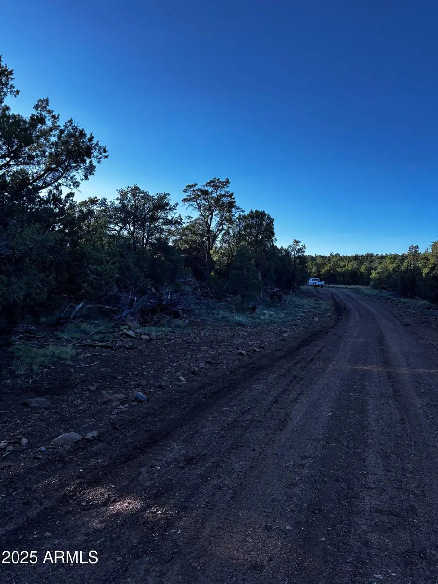 0 Soaring Hawk -- #498, Seligman, AZ 86337 - Image #3