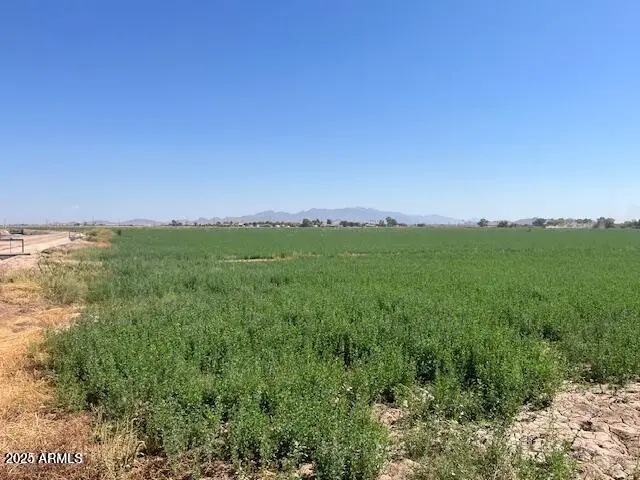 0006 W Beloat Road, Buckeye, AZ 85326 - #2