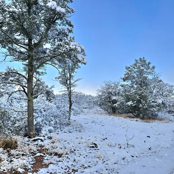 4H Ike Clark Parkway #2, Young, AZ 85554