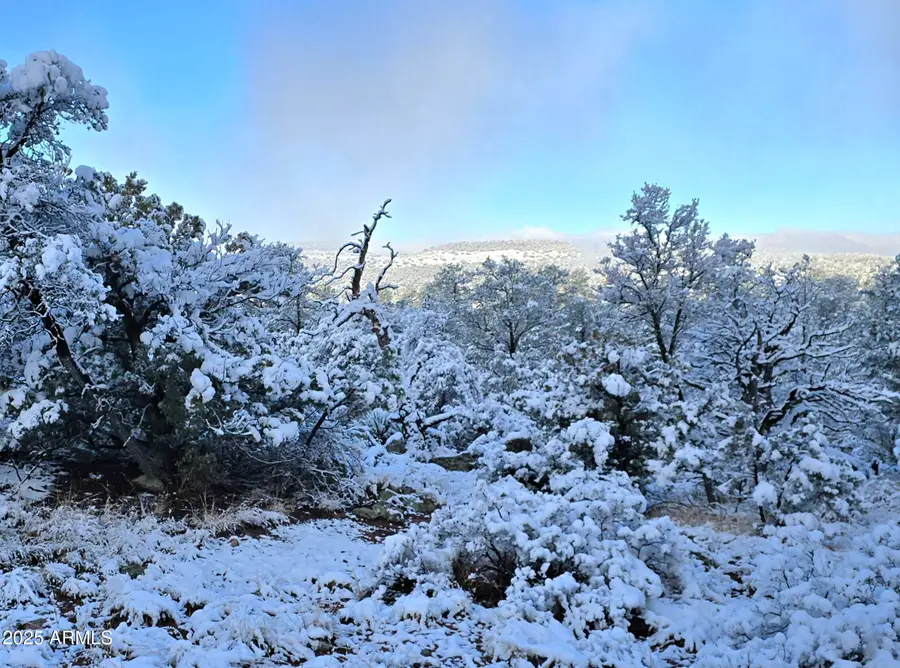 4H Ike Clark Parkway #2, Young, AZ 85554 - Image #3