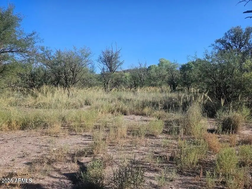 1388 E Cottonwood Lane, Whetstone, AZ 85616 - Image #3