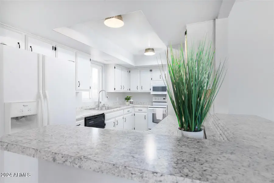 9732 E Minnesota Avenue, Sun Lakes, AZ 85248 - Image #3