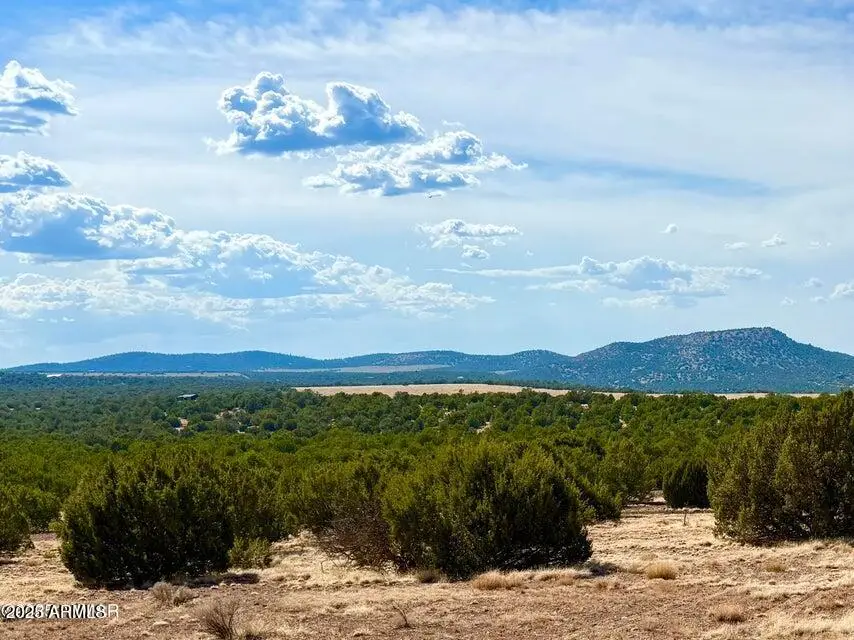 TBD Co Rd N3109 9.11 Acres --, Vernon, AZ 85940 - Image #2