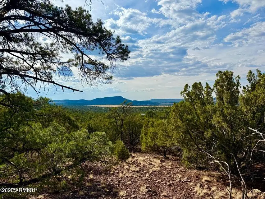 TBD Co Rd N3109 9.11 Acres --, Vernon, AZ 85940 - Image #3