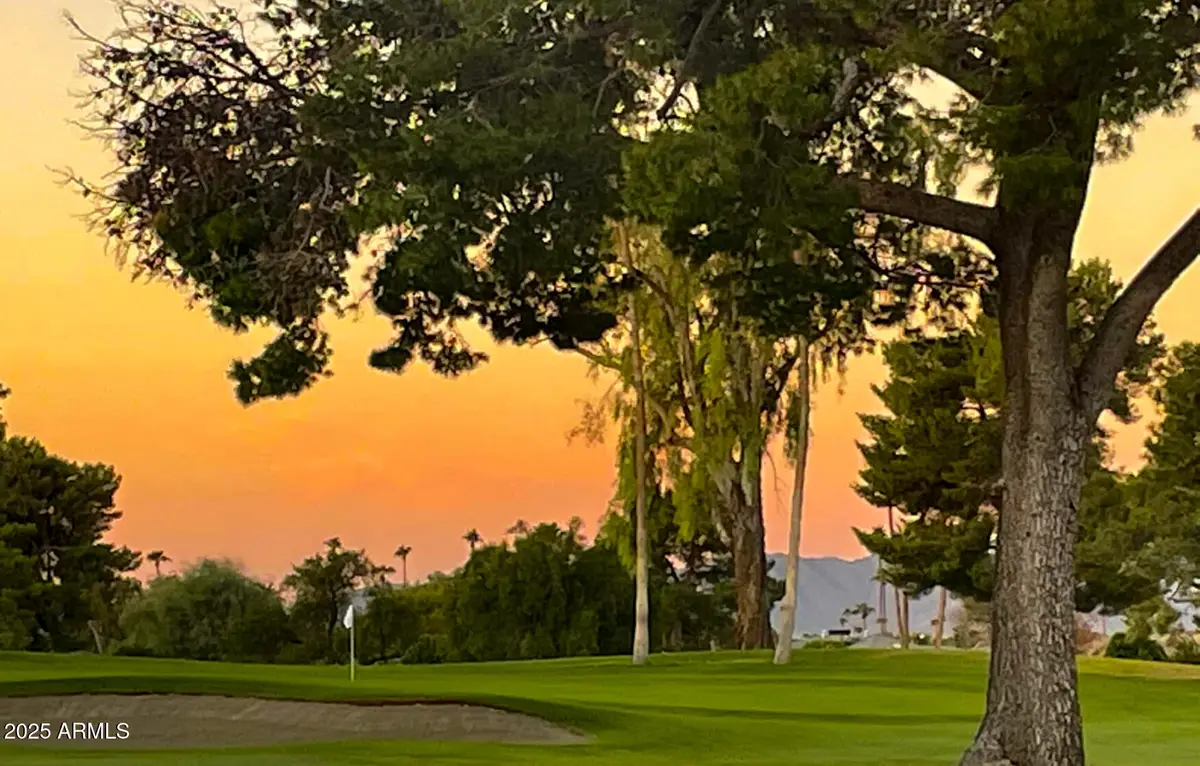 18834 N 130th Avenue, Sun City West, AZ 85375 - #1