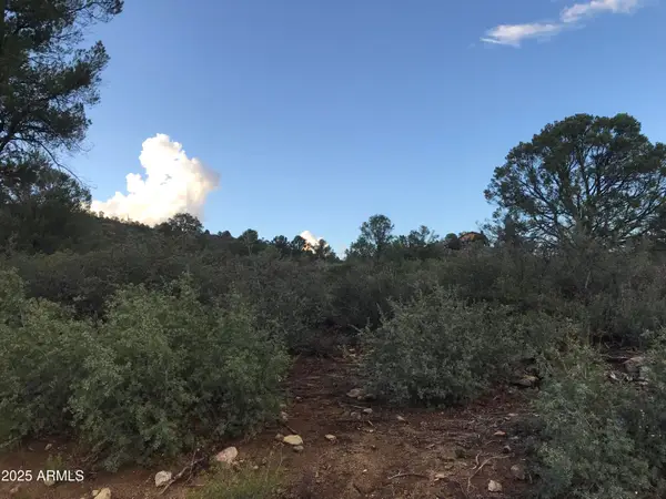 00000 W Buckhorn - V Drive, Peeples Valley, AZ 86332