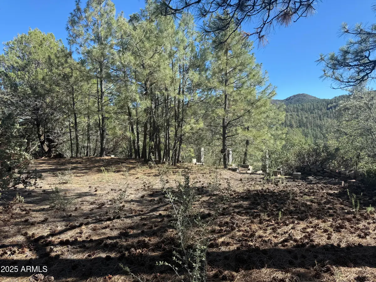 6536 E 90 And 9 Road, Crown King, AZ 86343 - Image #1