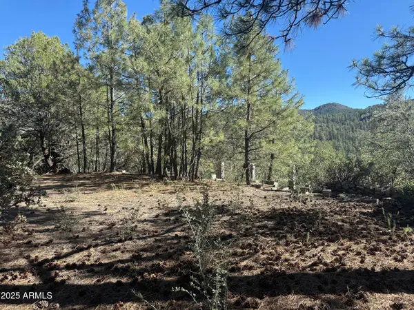 6536 E 90 And 9 Road, Crown King, AZ 86343