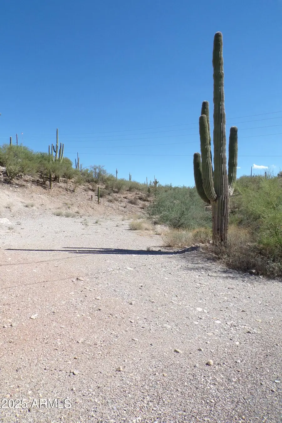 31 N Kathy Drive #75, Queen Valley, AZ 85118 - Image #3