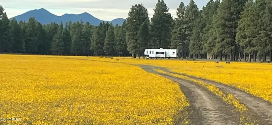 XXXXX E Newman Park Rd -- #2, Flagstaff, AZ 86005 - Image #3