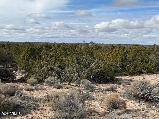 N7421 N N7421 -- #20637003, Puerco, AZ 85936 - Image #2