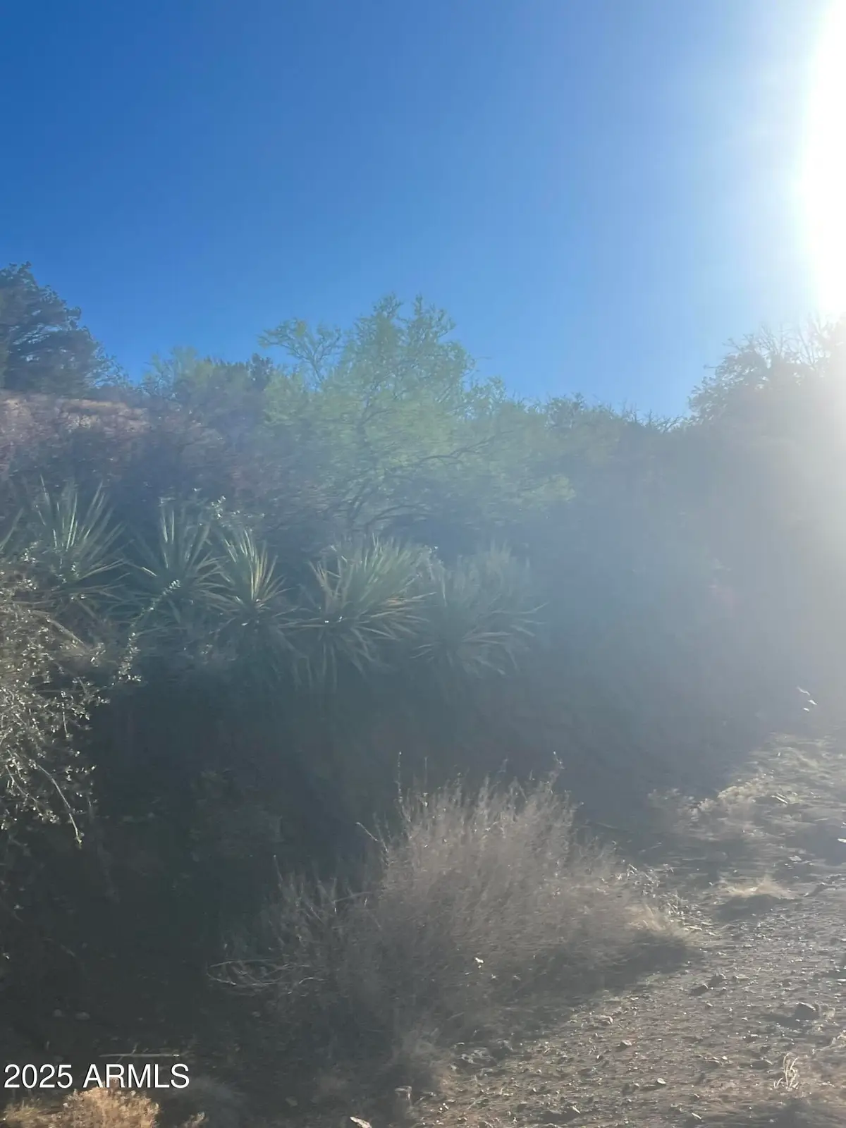 XX Black Peak Road #90, Copper Hill, AZ 85501 - Image #1