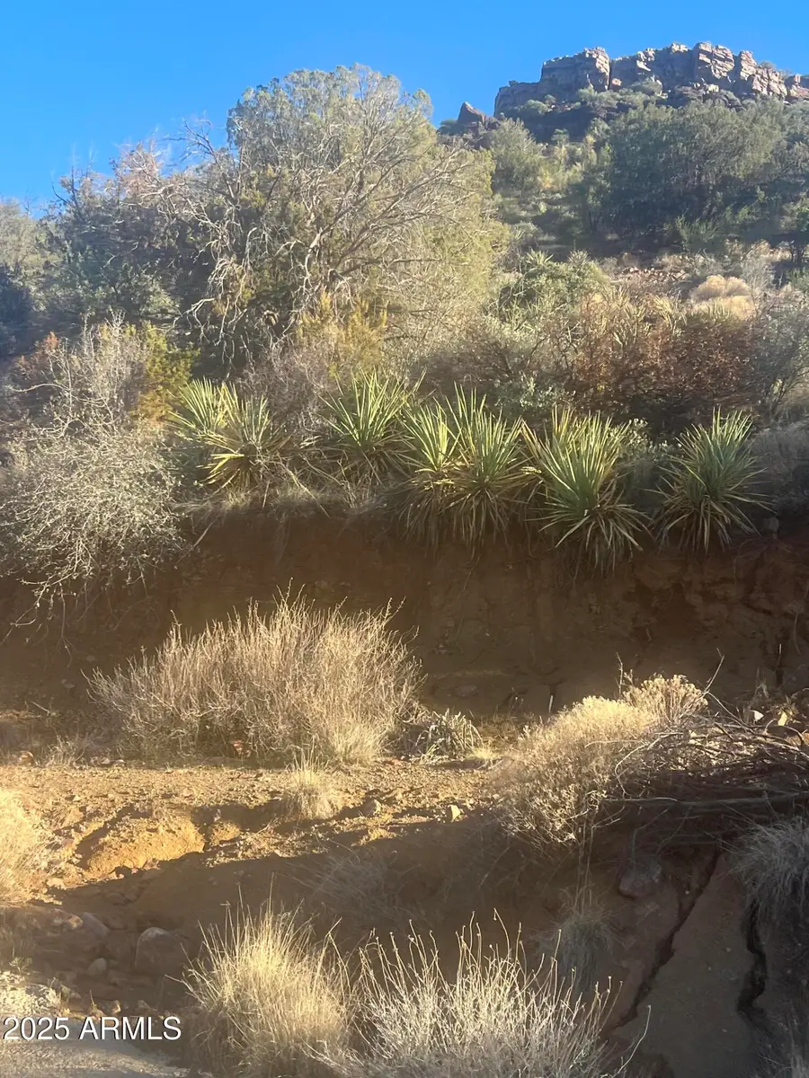XX Black Peak Road #90, Copper Hill, AZ 85501 - Image #3