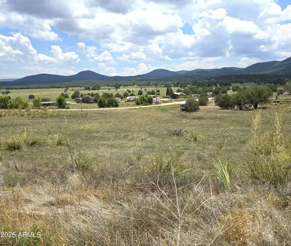 410-4 S Rolling Hills Road #4, Young, AZ 85554