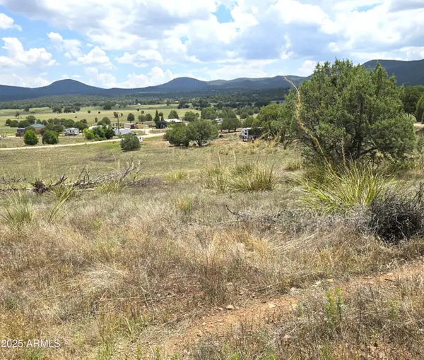 410-3 S Rolling Hills Road #3, Young, AZ 85554