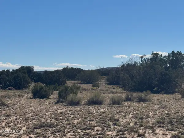 Lor 736 Woodland Valley Ranch -- #736, St Johns, AZ 85936