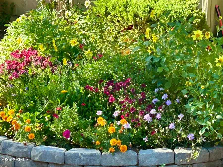 912 W Madera Lane, Payson, AZ 85541 - Image #3