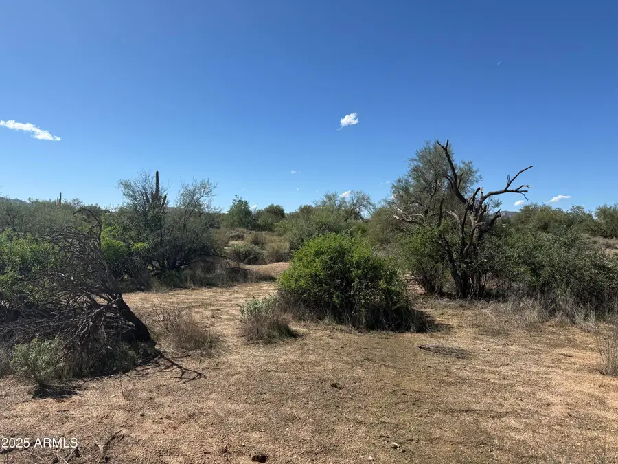 308xx N 164th Street, Tonto National Forest, AZ 85262 - Image #2